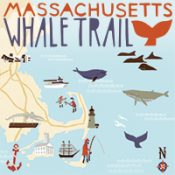 List of whaling museums, whale watching in Massachusetts.