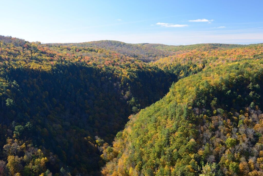 Pine Creek Gorge, widely known as the Pennsylvania Grand Canyon, located in Tioga County, Pennsylvania.